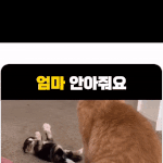 엄마 <b>안아</b>줘요