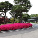 화양연화(花樣年華, 인생에서 가장 아름다운 순간) (17) - 최대우...