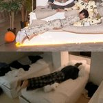 [ZB1] 새삼 <b>규빈이</b> 자는거ㅋㅋㅋㅋ