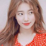수지 <b>확신</b>의 봄브라이트다