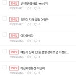 아 보플 파이널 보는 내 반응 개웃김