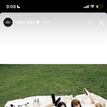 난 아이브 아직도 이해<b>안</b>되는게
