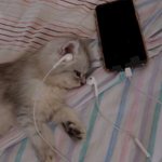 [댓글부탁해] 너넨 <b>연애</b>할 때 나이 <b>차이</b> 얼마까지 가능함?