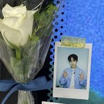 제베원 멤들이 두고간 하얀장미 <b>꽃말</b>