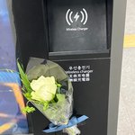 ㅅㅎㅂ <b>폴라</b> 편지 누가 가져감