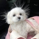 얘드라 도재정 <b>dive</b> 들어줘