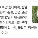 [ZB1] 백장미 <b>꽃말</b>봐