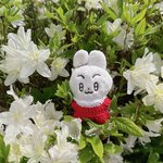 [TXT] 랑빈이