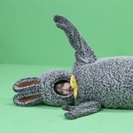 [TXT] <b>밤</b>아띠