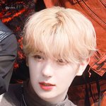 혼란스런 엔터에서 최애를 외치다