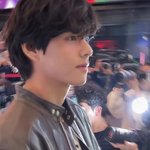 [강아지] 뷔 실물, 뷔 <b>폰카</b>, 태형실물 뷔비율