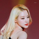 나만 알고 싶은 <b>여자</b> <b>아이</b><b>돌들</b>