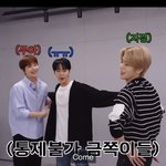 [도재정] 자막에 금쪽이 뭐임ㅋㅋㅋ