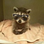난 아직도 장<b>하오</b> 코고는거 안믿김