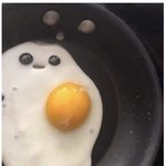 최애 <b>유사</b> 안 먹는 사람 있어..?