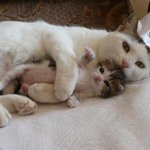 분위기 <b>정화</b>시키기