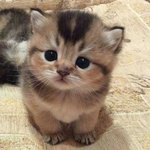 혹시 다들 자기 업무에 <b>ai</b> 활용할 생각있으신가요?!?