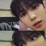 <b>브라이언</b> 어디가야 볼 수 있니
