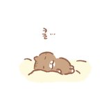 [드루와] 4둥<b>굽</b> 이상이면 솔직히 수시 버려도 된다 아님??