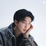 방탄 <b>알</b><b>엠</b>