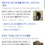 [댓글부탁해] 엥 소똥구리 <b>멸종</b>됐대;;