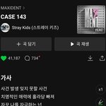 [스키즈] 혹시 시간되면  아기테이들