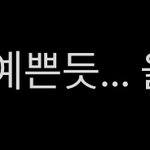 [도재정] <b>의상</b> 개이쁘대..
