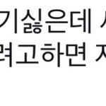 [댓글부탁해] 근데 이 짤 <b>뭔</b> <b>말</b>임?