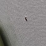 이거 건물 붕과 <b>조짐</b>인가요?