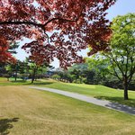 화양연화(花樣年華, 인생에서 가장 아름다운 순간) (20)