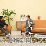 번아웃 와서 힘든 시기에 반려견 '<b>구리</b>'를 만났다는 비투비 이창섭