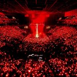 슈가 <b>솔콘</b> 2일차