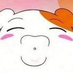 중딩때까지는 성적 신경끄고 놀라는 말 개꼰대처럼 느껴졌는데