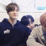 [NCT드림] <b>아기</b>판다 종천러는