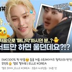 [스키즈] 엘르짤터뷰