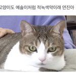 [드루와] 남친 사귀면 담배피는거