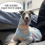 [19] 나 일하는 카페에 일머리 조카 없는 언니 있는데