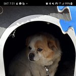 개알못 <b>책임</b>?