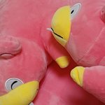 내 <b>야</b>돈<b>인형</b>들 ㅈㄴ 귀엽지