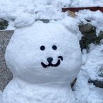 [드루와] 너네 핑크바지 무슨 <b>색이</b> 더 예쁜 거 같음