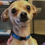 [드루와] 난 걍 아이돌에 <b>정감</b>이 안 감