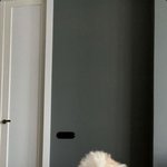[<b>댓글</b>부탁해] 좋아하는데 사귀긴 싫을<b>수도</b> 있어?