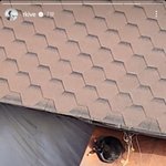 [방탄소년단] 오늘도 <b>고영</b>에 진심인 주니