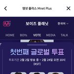 내 <b>근본</b>없는 투표 볼사람