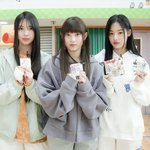 [드루와] 뉴진스 해린 <b>혜인</b> 민지 개기엽넹