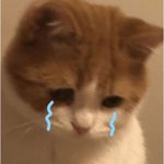 [드루와] 나 오늘 <b>캐스팅</b> 당함