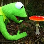 방금 수학 매겼는데 점수 <b>개스</b>껄하노!!!!!! ㅋㅋㅋㅋㅋㅋ