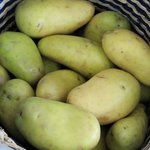 <b>녹색</b>으로 변한 감자를 먹어도 안전한가요?