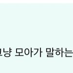 [TXT] 아디다스<b>츄리닝</b>