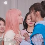 안유진 까이는거 불쌍해